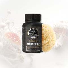 Löwenmähne (Hericium erinaceus) – Extrakt, 60 vegane Kapseln